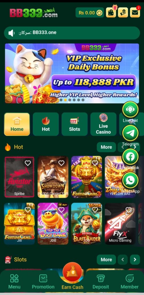 BB333 Game