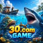 30.com Game