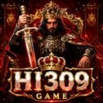 HI309 Game
